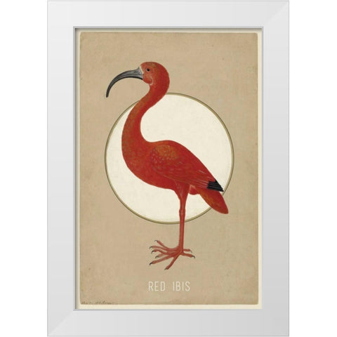 Red Ibis White Modern Wood Framed Art Print by Waltz, Anne