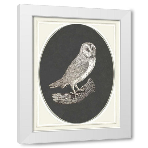 Oehoe II White Modern Wood Framed Art Print by Waltz, Anne