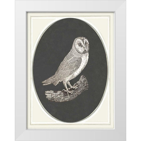 Oehoe II White Modern Wood Framed Art Print by Waltz, Anne