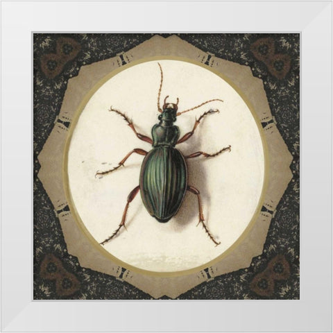 Bug me.. White Modern Wood Framed Art Print by Waltz, Anne