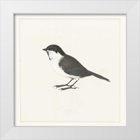 Birdy II White Modern Wood Framed Art Print by Waltz, Anne