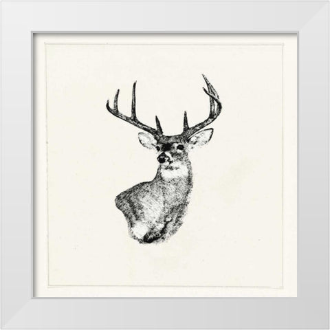 Adeerable II White Modern Wood Framed Art Print by Waltz, Anne