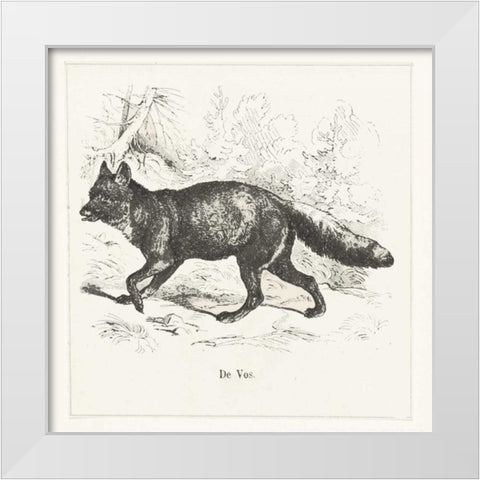 de Vos White Modern Wood Framed Art Print by Waltz, Anne