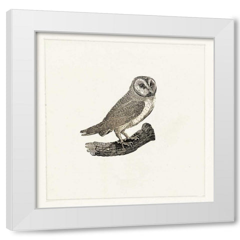 Uiltje White Modern Wood Framed Art Print by Waltz, Anne