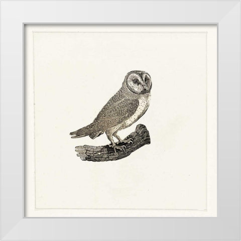 Uiltje White Modern Wood Framed Art Print by Waltz, Anne