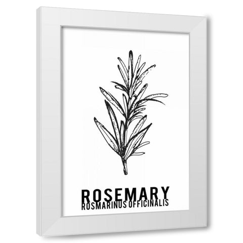Rosemary herbs  White Modern Wood Framed Art Print by Waltz, Anne