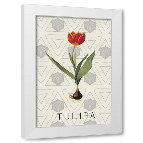 Tulipa White Modern Wood Framed Art Print by Waltz, Anne
