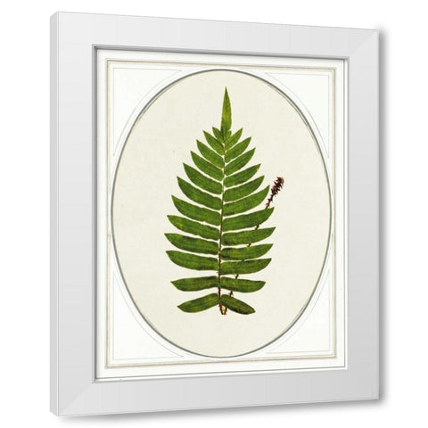 Leaf White Modern Wood Framed Art Print by Waltz, Anne