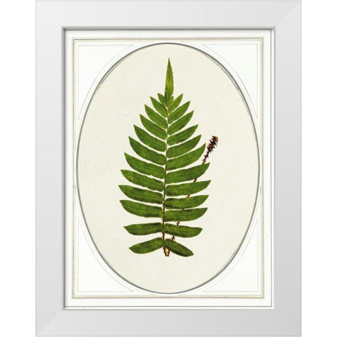 Leaf White Modern Wood Framed Art Print by Waltz, Anne