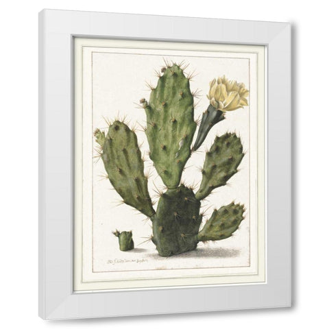 Cactenia White Modern Wood Framed Art Print by Waltz, Anne