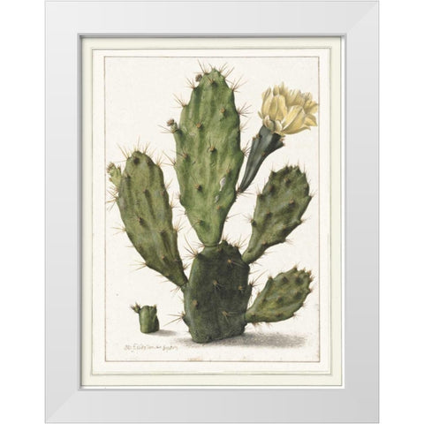 Cactenia White Modern Wood Framed Art Print by Waltz, Anne