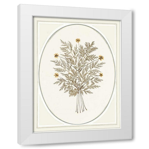 Gardenio IV White Modern Wood Framed Art Print by Waltz, Anne