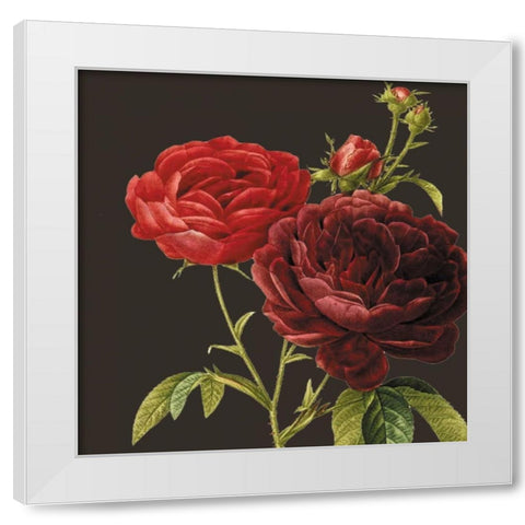 Classic rose White Modern Wood Framed Art Print by Waltz, Anne