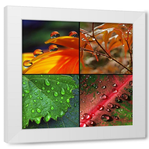 Diamanten des Lebens White Modern Wood Framed Art Print by Laimgruber, Dagmar