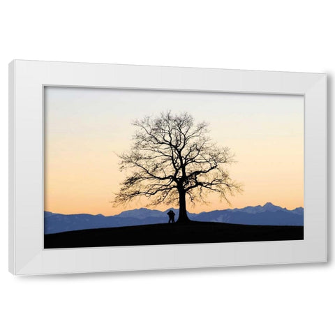 Abenddammerung I White Modern Wood Framed Art Print by Rossmeissl, Gerhard