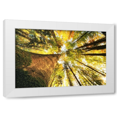 Hoch hinauf White Modern Wood Framed Art Print by Rossmeissl, Gerhard