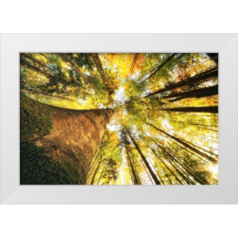 Hoch hinauf White Modern Wood Framed Art Print by Rossmeissl, Gerhard