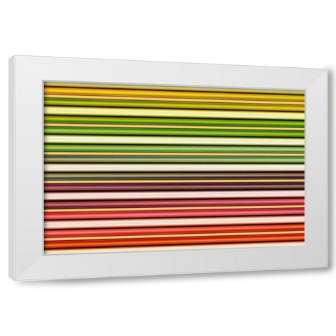 Color Lines I White Modern Wood Framed Art Print by Rossmeissl, Gerhard