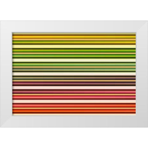 Color Lines I White Modern Wood Framed Art Print by Rossmeissl, Gerhard
