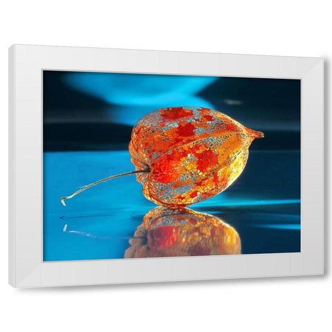 Ballonblume White Modern Wood Framed Art Print by Weissing, Gerd