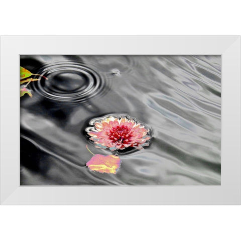 Traumwasser White Modern Wood Framed Art Print by Weissing, Gerd