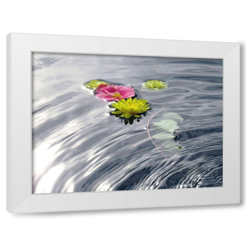 Wassertraum White Modern Wood Framed Art Print by Weissing, Gerd