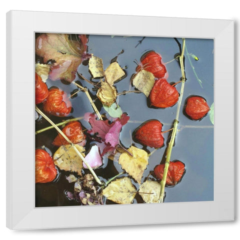 Herbstwasser White Modern Wood Framed Art Print by Weissing, Gerd