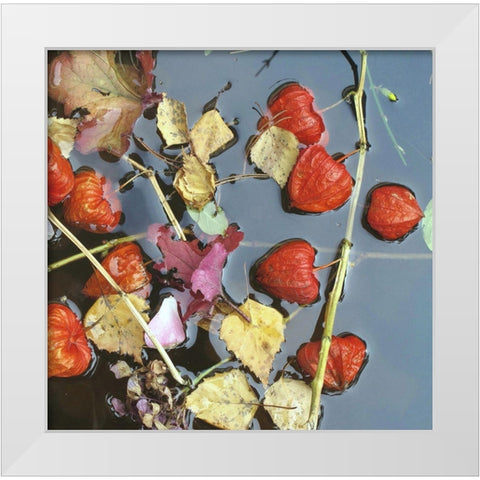 Herbstwasser White Modern Wood Framed Art Print by Weissing, Gerd