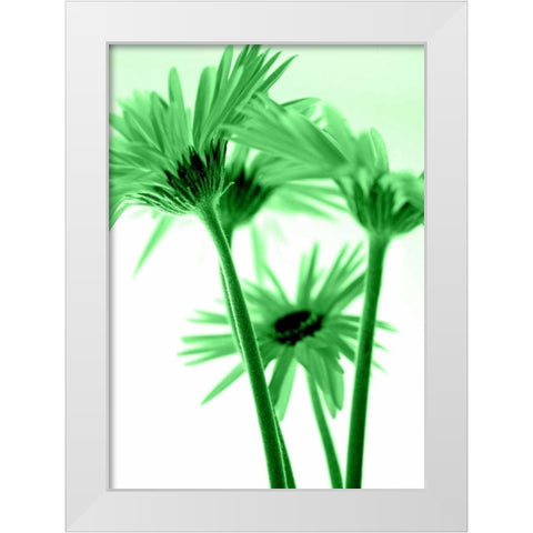 Rendez-Vous I White Modern Wood Framed Art Print by Riedt, Kirsten