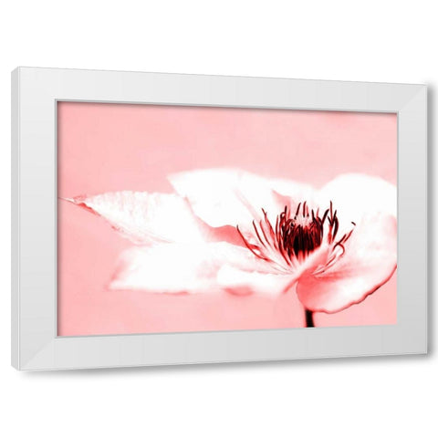 Beauty White Modern Wood Framed Art Print by Riedt, Kirsten