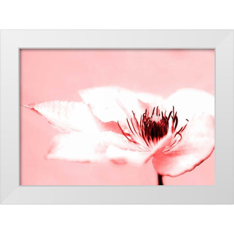 Beauty White Modern Wood Framed Art Print by Riedt, Kirsten