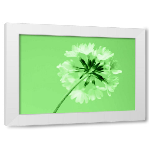 Frizzy White Modern Wood Framed Art Print by Riedt, Kirsten