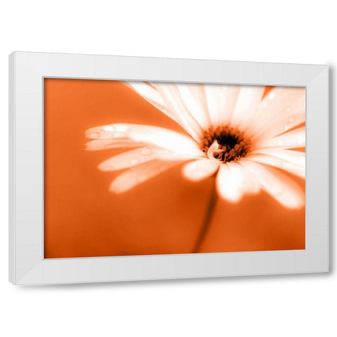 Leaned White Modern Wood Framed Art Print by Riedt, Kirsten