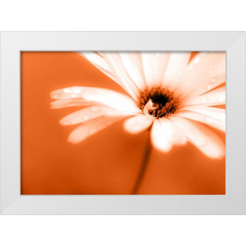 Leaned White Modern Wood Framed Art Print by Riedt, Kirsten