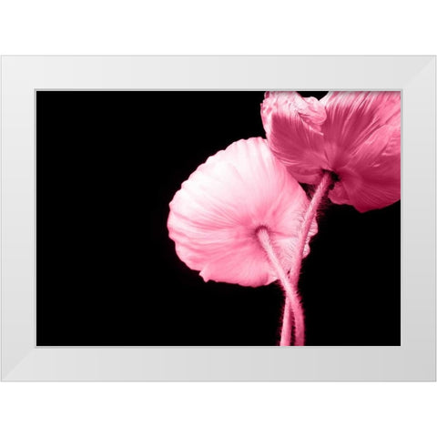 Umschlungen White Modern Wood Framed Art Print by Riedt, Kirsten