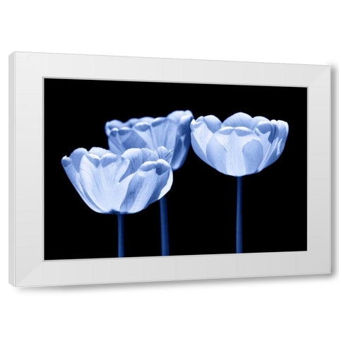 Three of us White Modern Wood Framed Art Print by Riedt, Kirsten