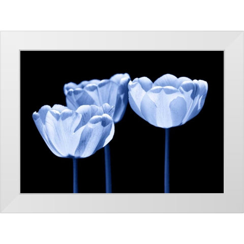 Three of us White Modern Wood Framed Art Print by Riedt, Kirsten