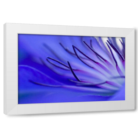 Blue arms White Modern Wood Framed Art Print by Riedt, Kirsten
