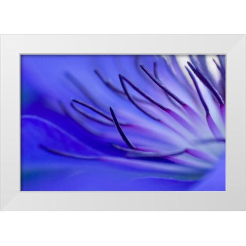 Blue arms White Modern Wood Framed Art Print by Riedt, Kirsten