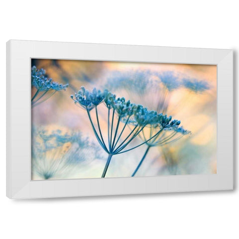 Summer dreams II White Modern Wood Framed Art Print by Riedt, Kirsten