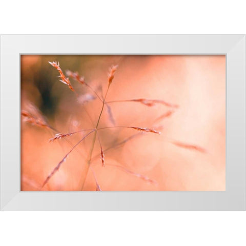 Wild summer I White Modern Wood Framed Art Print by Riedt, Kirsten