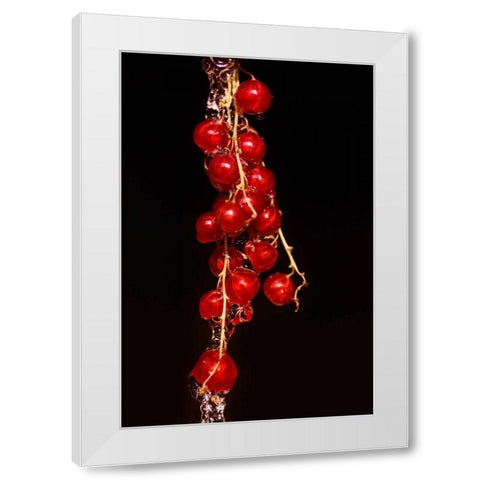 Johannisbeere White Modern Wood Framed Art Print by Riedt, Kirsten