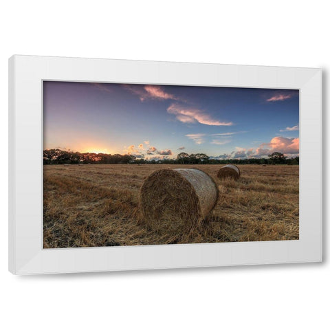 Herbst im Norden White Modern Wood Framed Art Print by Scholz, Markus