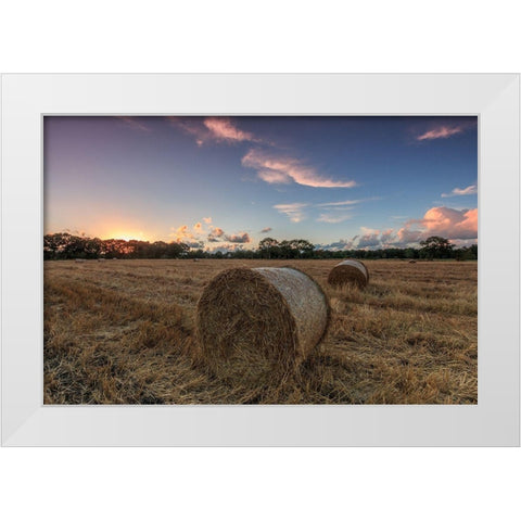 Herbst im Norden White Modern Wood Framed Art Print by Scholz, Markus