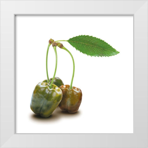 Papkische White Modern Wood Framed Art Print by Broszius, Michael