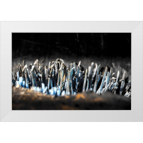 Hafen 5 White Modern Wood Framed Art Print by Krause, Michael