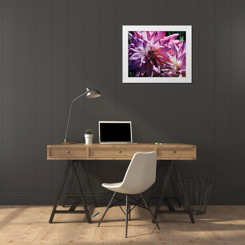 Dueling Dahlias White Modern Wood Framed Art Print by Schuh, Michael