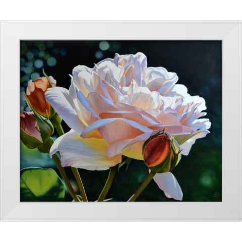 Buds White Modern Wood Framed Art Print by Schuh, Michael