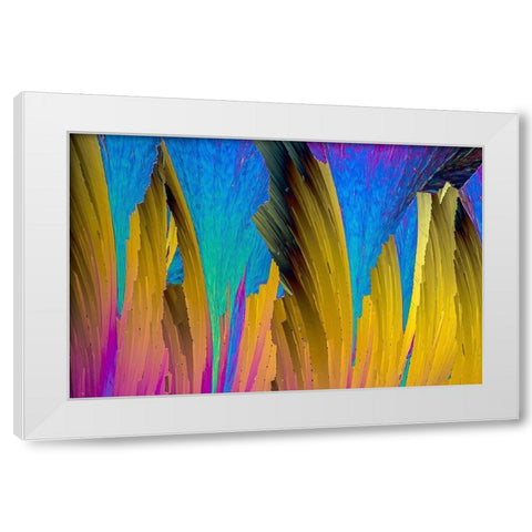 Paracetamol White Modern Wood Framed Art Print by Juzak, Peter