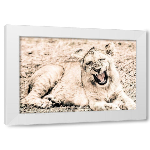 Lion-Baby White Modern Wood Framed Art Print by Seifinger, Toby